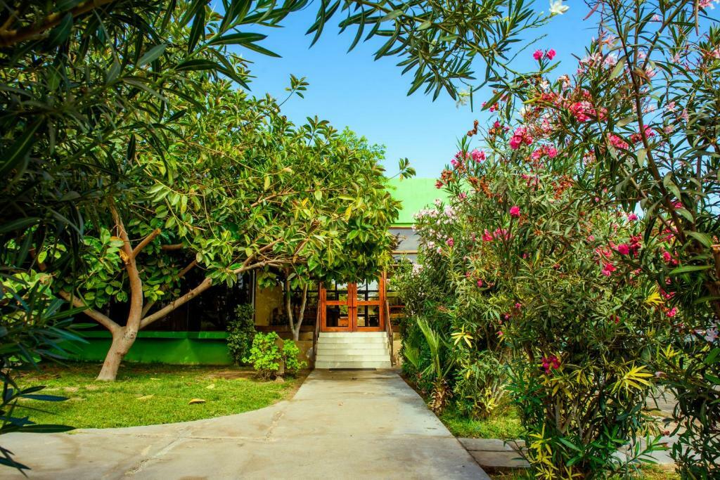 Hotel Del Valle Azapa 阿里卡 外观 照片